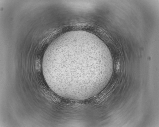 X0000086951204200705071434