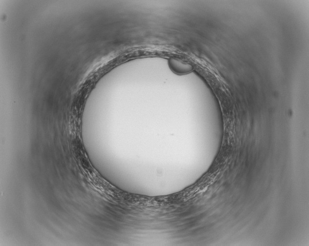 X0000086951207200705071434