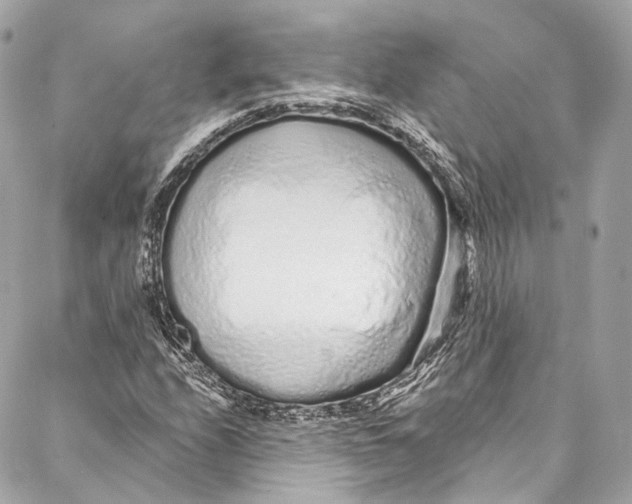 X0000086951208200705071434