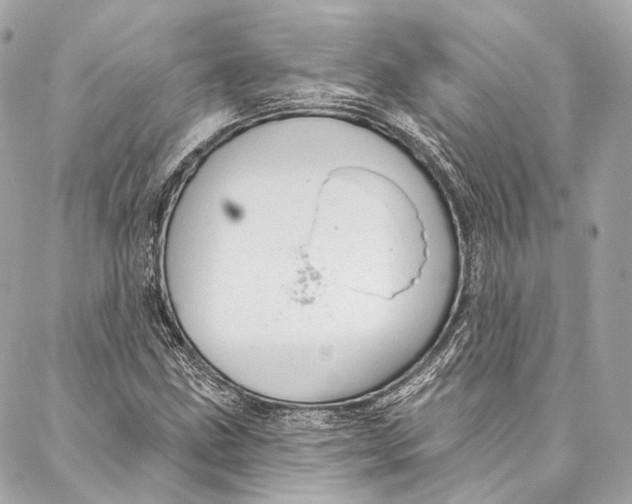 X0000086951211200705071434