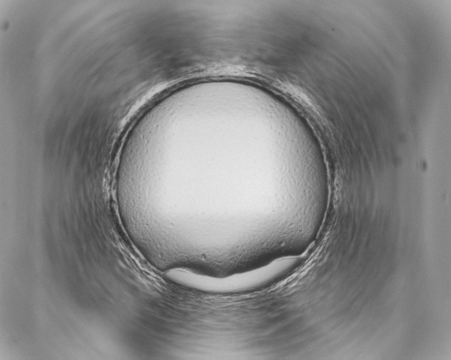 X0000086951212200705071434