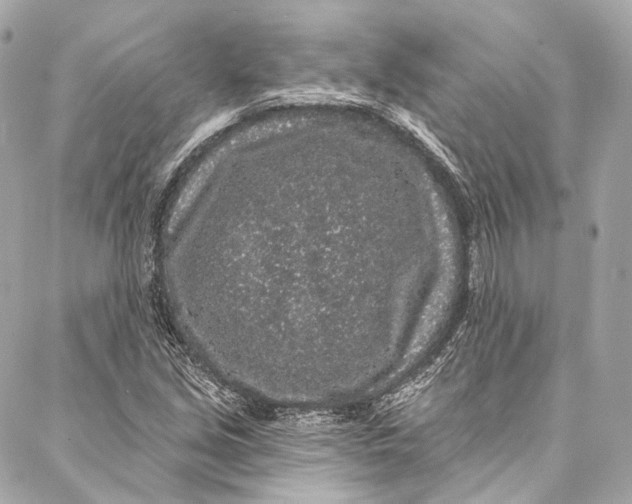 X0000086951213200705071434