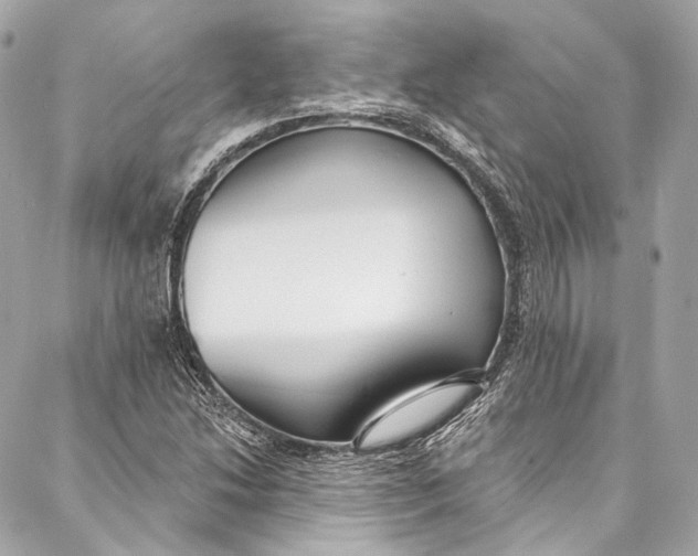 X0000086951214200705071435