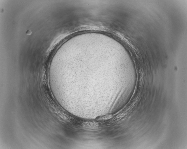 X0000086951215200705071435