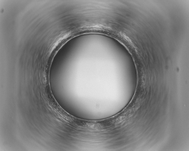 X0000086951218200705071435