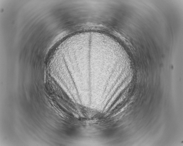 X0000086951219200705071435