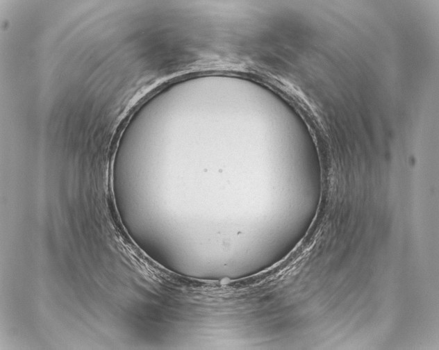 X0000086951220200705071435