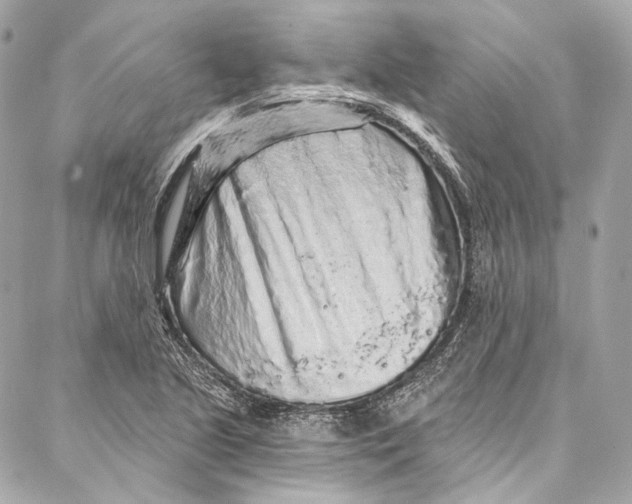 X0000086951221200705071435