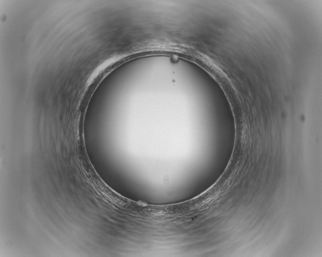 X0000086951222200705071435