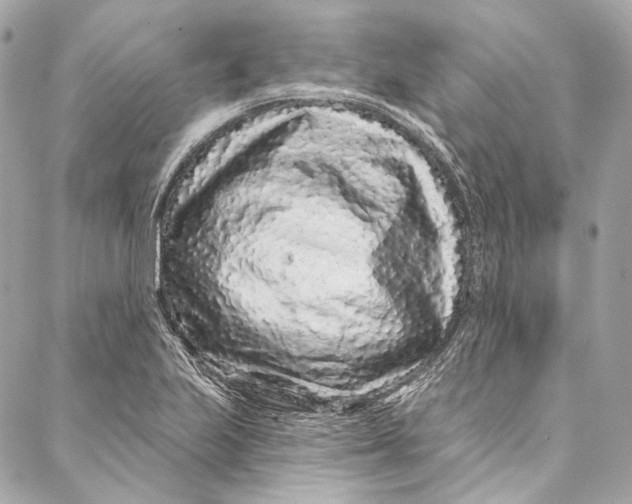 X0000086951223200705071435