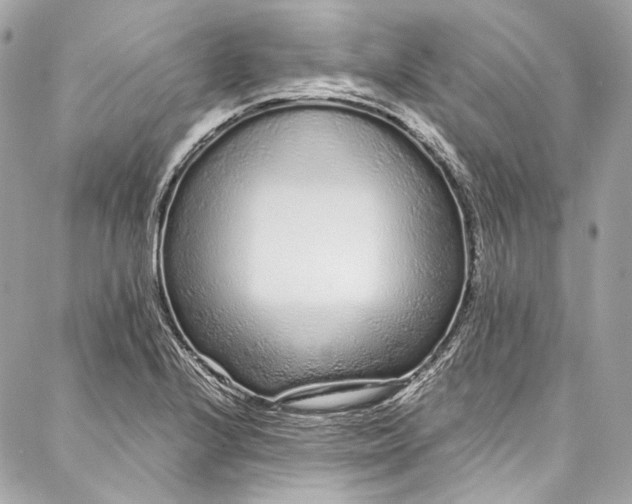 X0000086951224200705071435