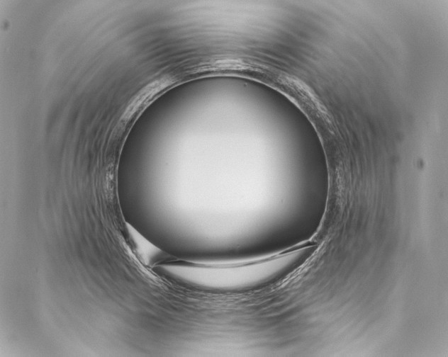 X0000086951225200705071435