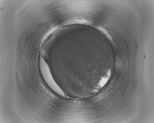 X0000086951226200705071435