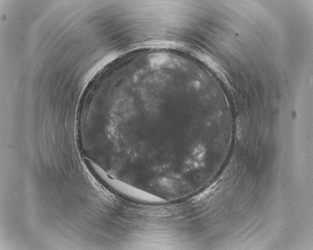 X0000086951229200705071435