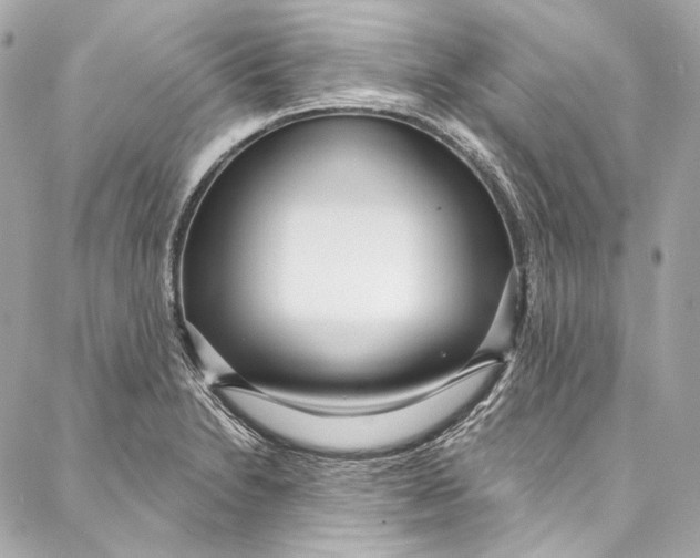 X0000086951230200705071435