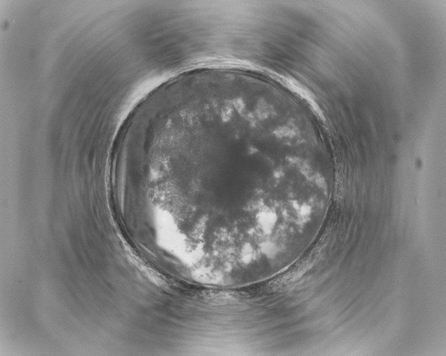 X0000086951231200705071435