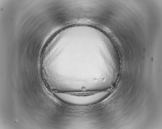 X0000086951232200705071435