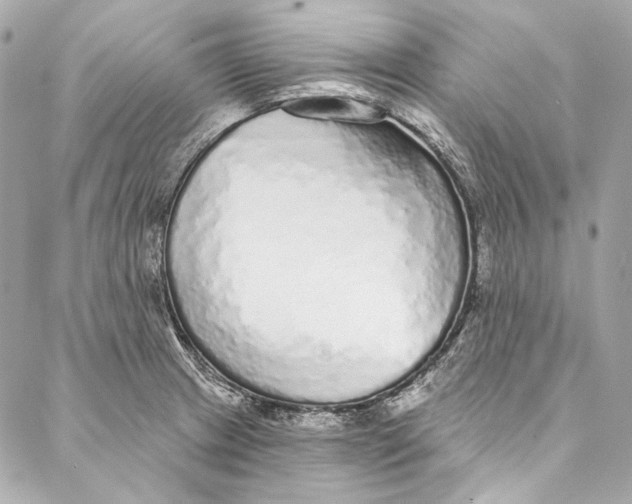 X0000086951233200705071435