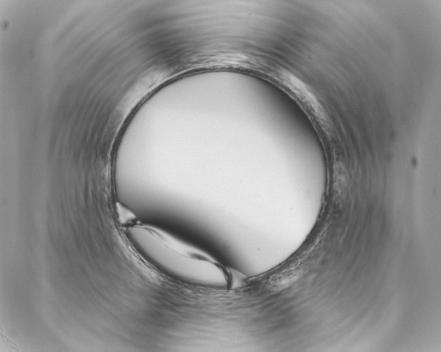 X0000086951234200705071435