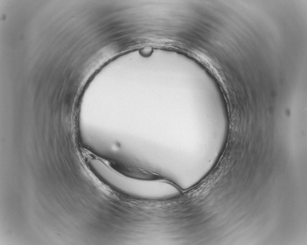 X0000086951235200705071435