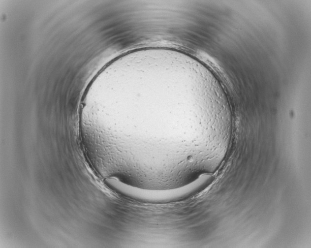 X0000086951236200705071435