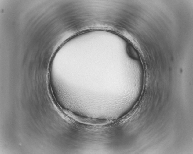 X0000086951237200705071435