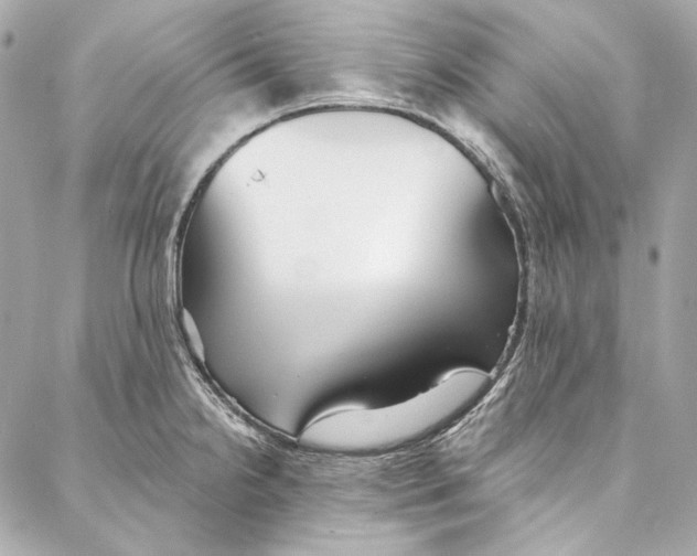 X0000086951238200705071435