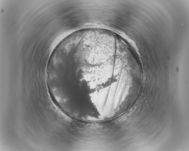 X0000086951239200705071435