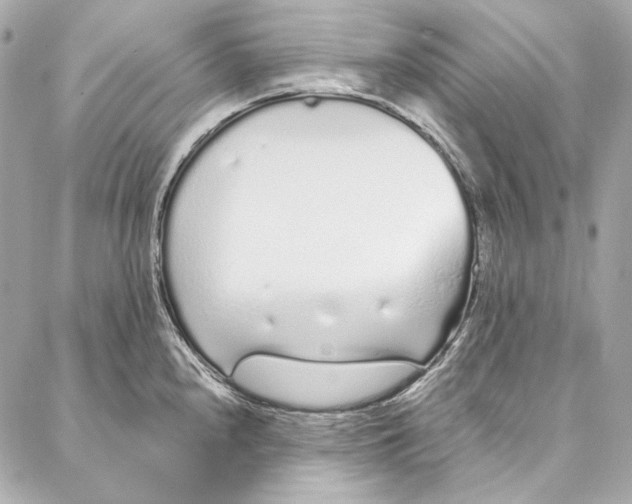 X0000086951240200705071435