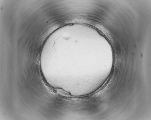 X0000086951241200705071435