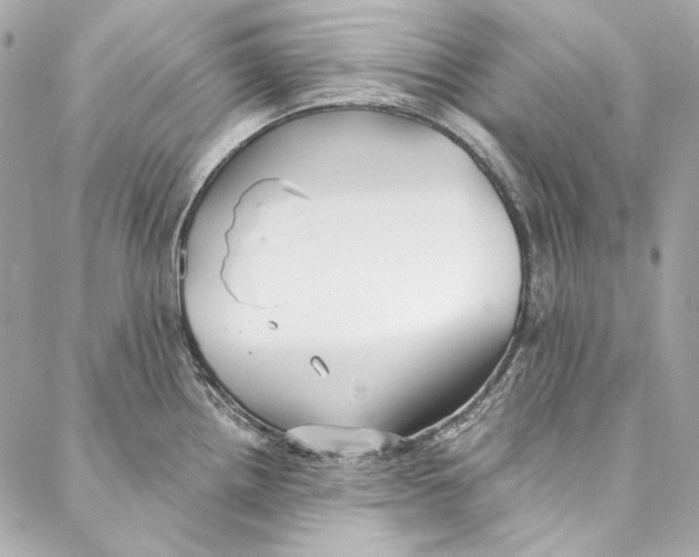 X0000086951242200705071435