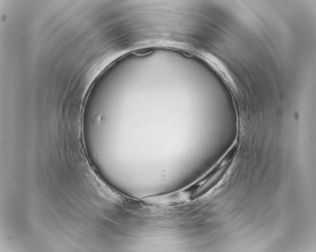 X0000086951244200705071435