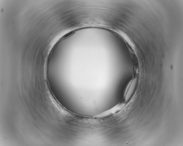 X0000086951246200705071435