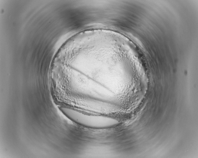 X0000086951247200705071435