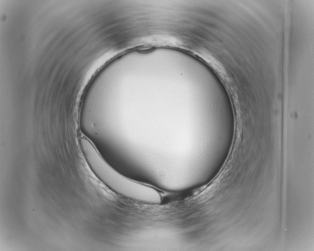 X0000086951248200705071435