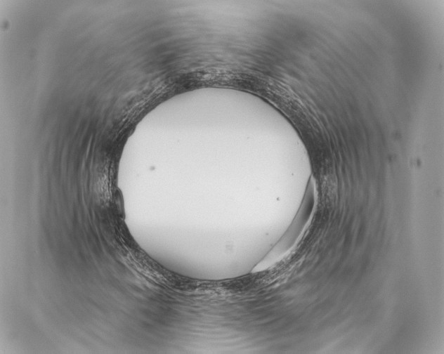 X0000086951250200705071434