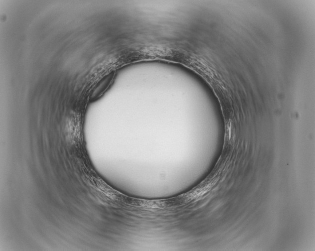 X0000086951251200705071434