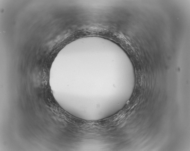 X0000086951253200705071434