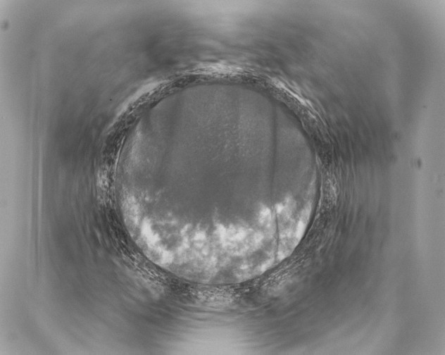 X0000086951254200705071434