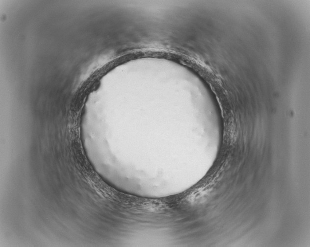 X0000086951255200705071434