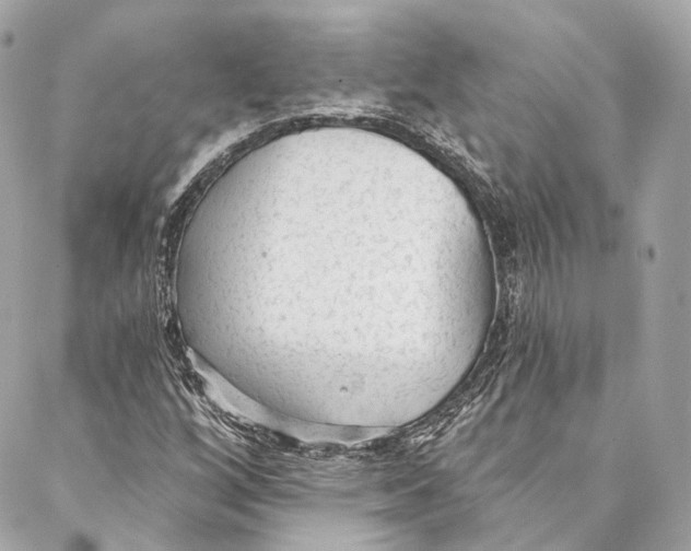 X0000086951256200705071434