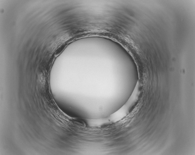 X0000086951257200705071434