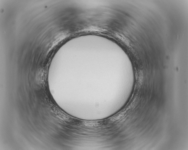 X0000086951258200705071434