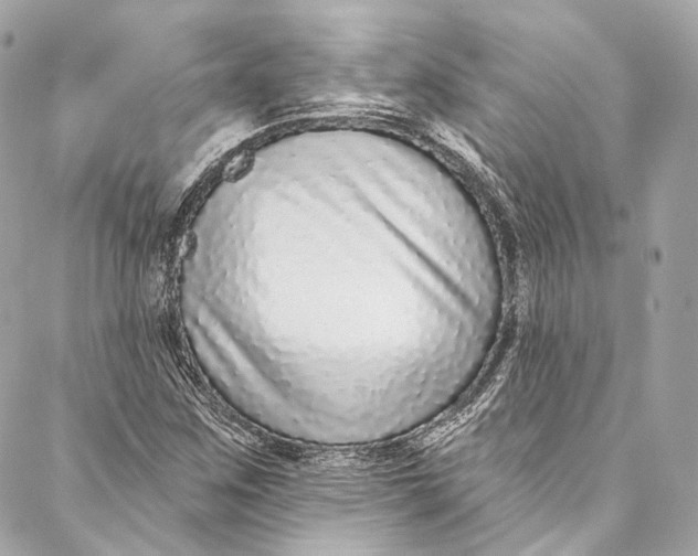 X0000086951259200705071434