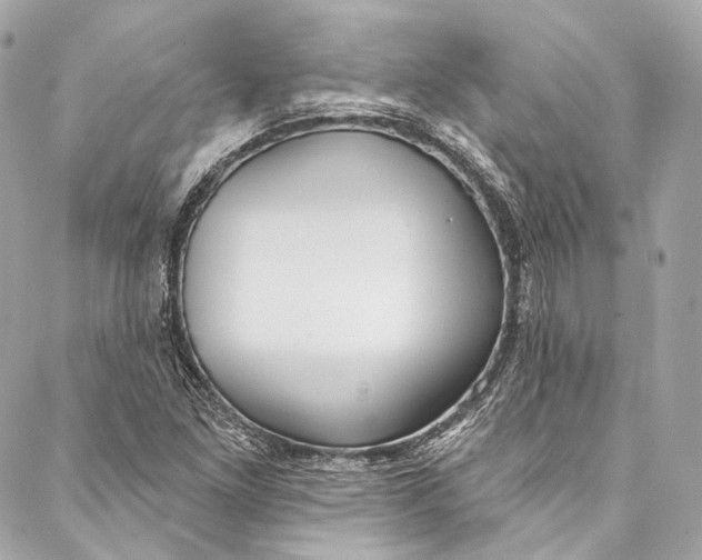 X0000086951261200705071434