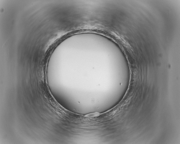 X0000086951262200705071434