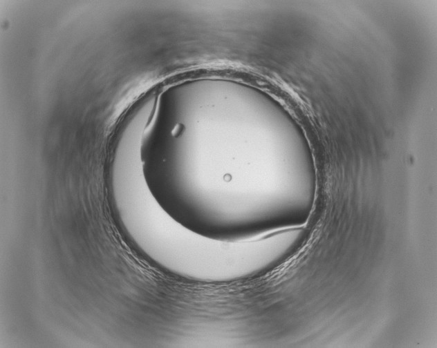 X0000086951263200705071434