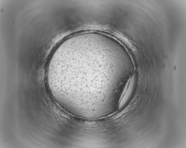 X0000086951264200705071434