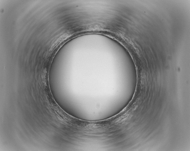 X0000086951265200705071434