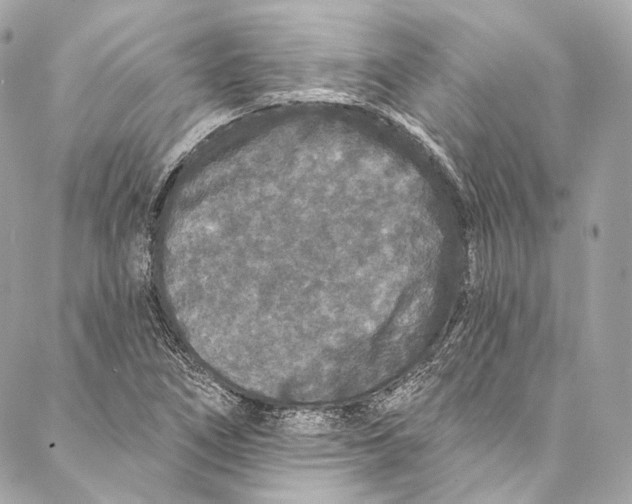 X0000086951266200705071434